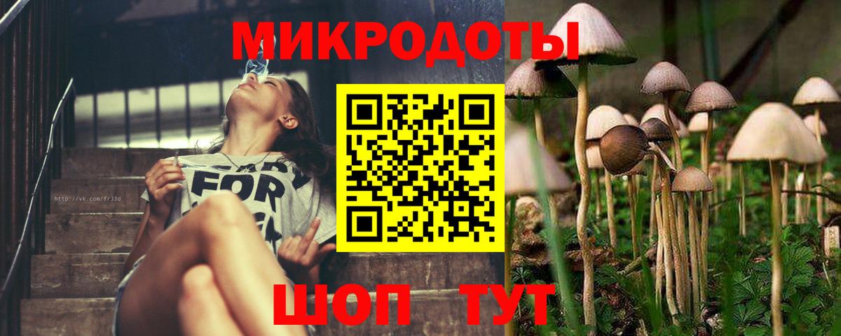 Псилоцибиновые грибы GOLDEN TEACHER Кузнецк