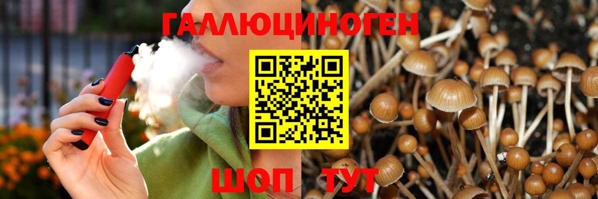 Кузнецк  Псилоцибиновые грибы Psilocybine cubensis  Вход с VPN 