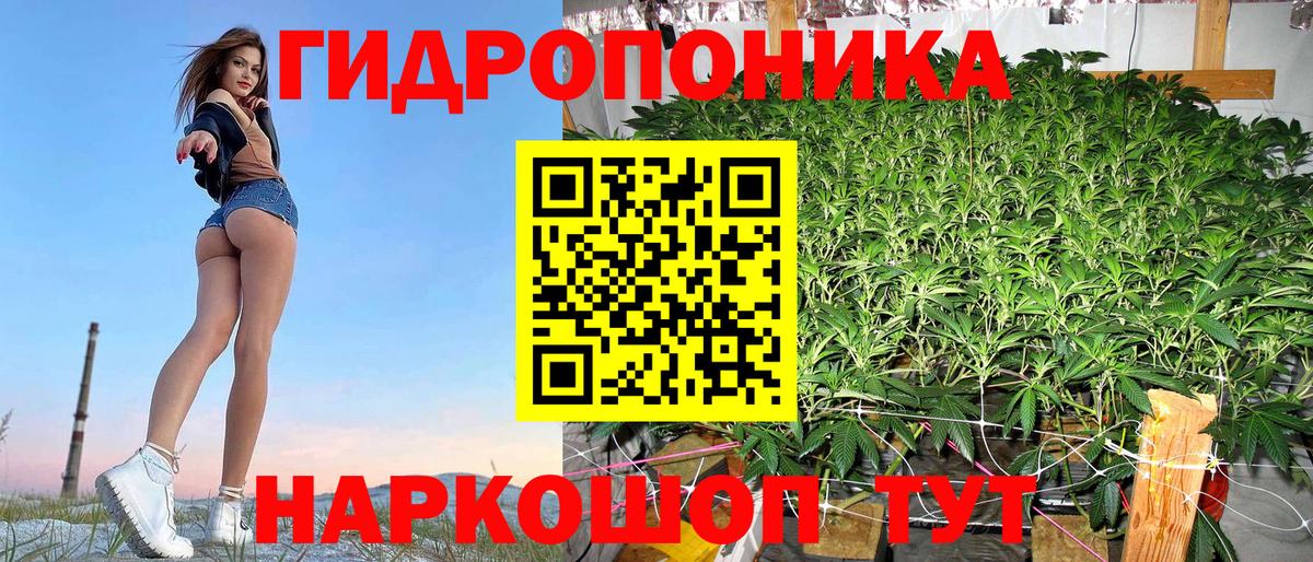 Бошки Шишки семена Кузнецк